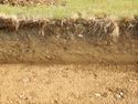 Thumbnail of S-facing representative section of SSF26