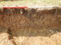 Thumbnail of N-facing section of SSF [23003]