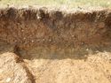 Thumbnail of N-facing section of SSF [23003]