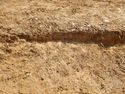 Thumbnail of SW-facing section of SSF [23009]