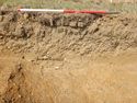 Thumbnail of E-facing section of SSF [24003]