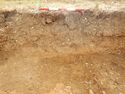 Thumbnail of W-facing section of SSF [24008]