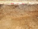 Thumbnail of W-facing section of SSF [24008]