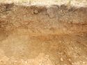 Thumbnail of W-facing section of SSF [24008]