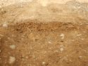 Thumbnail of E-facing section of SSF [24008]