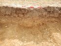 Thumbnail of W-facing section of SSF [24010]