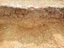 Thumbnail of W-facing section of SSF [24010]
