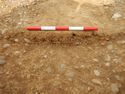 Thumbnail of E-facing section of SSF [24010]