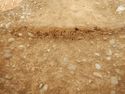 Thumbnail of E-facing section of SSF [24010]