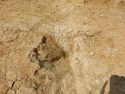 Thumbnail of E-facing section of SSF [25005]