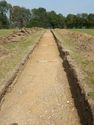 Thumbnail of NE-facing trench shot of SSF25