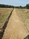 Thumbnail of S-facing trench shot of SSF12