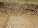 Thumbnail of S-facing section of SSF [23011]