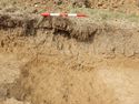 Thumbnail of W-facing section of SSF [16003]
