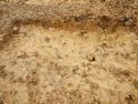 Thumbnail of NW-facing section of SSF [23005]