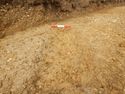 Thumbnail of NE-facing section of SSF [20008]