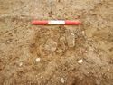 Thumbnail of W-facing section of pottery in SSF [23005]