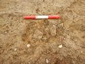 Thumbnail of W-facing section of pottery in SSF [23005]