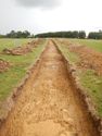 Thumbnail of W-facing trench shot of SSF15