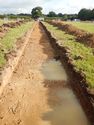 Thumbnail of N-facing trench shot of SSF16