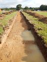 Thumbnail of N-facing trench shot of SSF16