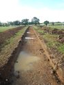Thumbnail of S-facing trench shot of SSF16