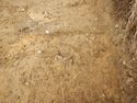 Thumbnail of E-facing section of SSF [23013]