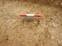 Thumbnail of SW-facing section of SSF [27005]