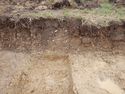 Thumbnail of SW-facing section of SSF [27003]