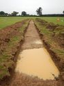 Thumbnail of NW-facing trench shot of SSF27