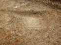 Thumbnail of N-facing section of SSG [2008]