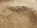 Thumbnail of S-facing section of SSG [3011]