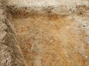 Thumbnail of E-facing section of [3037] SSG trench 03
