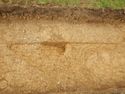 Thumbnail of N-facing plan shot of [3005] SSH trench 03