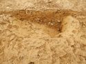 Thumbnail of N-facing close up shot of [3005] SSH trench 03