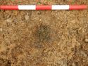Thumbnail of S-facing pre-excavation shot of [3007] SSH trench 03