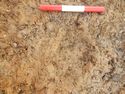 Thumbnail of Plan shot of spit 2 [3007] SSH trench 03