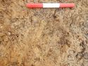 Thumbnail of Plan shot of spit 2 [3007] SSH trench 03