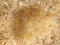 Thumbnail of Plan shot of spit 3 [3007] SSH trench 03