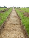 Thumbnail of NW-facing trench shot of SSG08