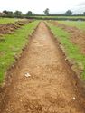 Thumbnail of NW-facing trench shot of SSH02