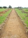 Thumbnail of SE-facing trench shot of SSH02