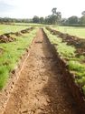 Thumbnail of NE-facing trench shot of SSH05