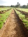 Thumbnail of NE-facing trench shot of SSH05