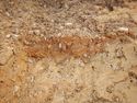 Thumbnail of NW – facing section of SSG [9003]