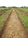 Thumbnail of SW-facing trench shot of SSG09