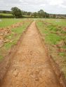 Thumbnail of NE-facing trench shot of SSH01