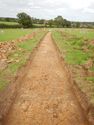 Thumbnail of NE-facing trench shot of SSH01