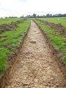 Thumbnail of SW-facing trench shot of SSH01