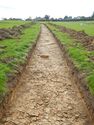Thumbnail of SW-facing trench shot of SSH01